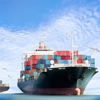 Cost-effective Logistics Services For LCL Sea Freight From China To Fort De France