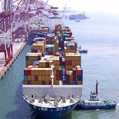 Sea Shipping Logistics From Shanghai To Bulgaria DDP