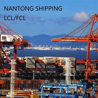 Nantong FCL LCL Sea Freight Cost To Colombia