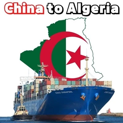Sea Freight Delivery From Qingdao To Algeria