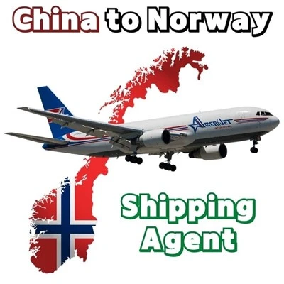 Air Cargo Delivery Shenzhen To Norway