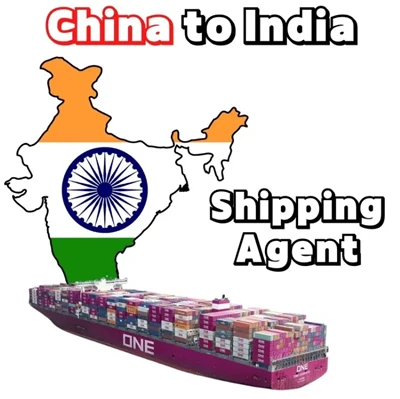 Cargo Agent Service From China To India New Delhi Amazon FBA By Sea Freight FCL & LCL From Shenzhen Work Job Online