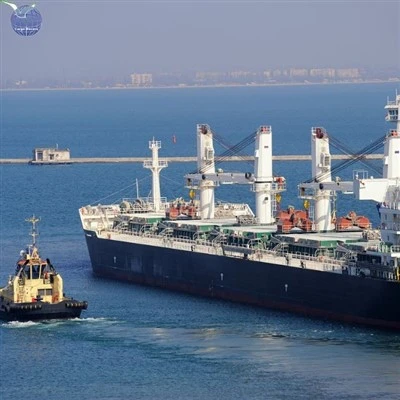 Reliable Freight Forwarder Service China To Singapore Air And Sea On Time Delivery