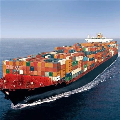 China FCL Sea Freight Logistics To Finland