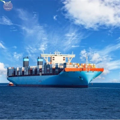Door To Door Ocean Freight From China To Belgium DDP FOB EXW CIF