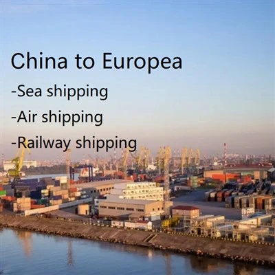 Hangzhou Forwarder Agent Shipping To Sweden