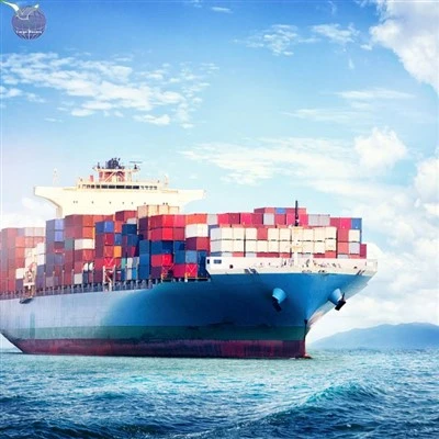 International Shipping Sea Freight From China To Uganda DDP FOB EXW CIF