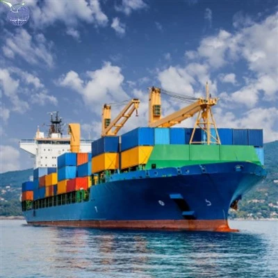 Ocean Cargo Services From China To Portugal DDP FOB EXW CIF