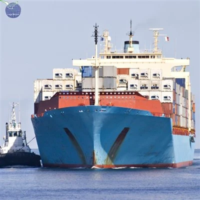 Ocean FCL LCL Shipping From China To Albania FOB EXW CIF