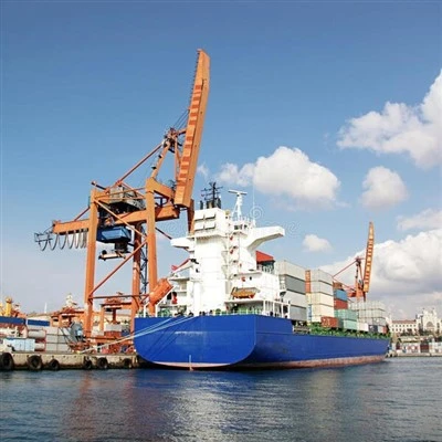 Professional Shipping Agent Sea Freight China To South Africa