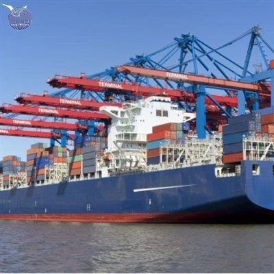 High Quality 40Ft New Shipping Container Sea Freight To Usa Australia From China Container