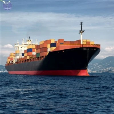 Sea Freight Services From China To Benin Cheap DDP FOB CIF EXW